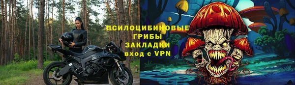 ПСИЛОЦИБИНОВЫЕ ГРИБЫ Богданович